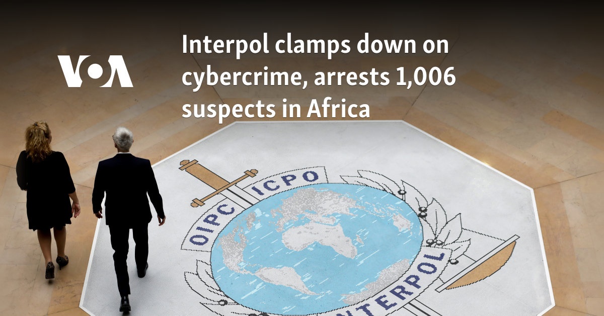 Interpol clamps down on cybercrime, arrests 1,006 suspects in Africa