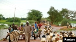 
Penggembala ternak nomadik memulai perjalanan pulang yang jauh setelah menjual ternak di sebuah pasar di Dori, Burkina Faso, 12 Agustus 2005.
