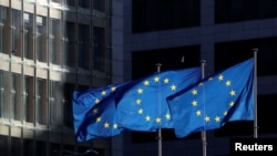 图为欧盟委员会布鲁塞尔总部大楼外飘扬的欧盟旗帜（2019年12月12日）。