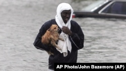 AP Photo/John Bazemore (AP)