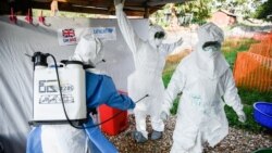 Ebola : la moitié des foyers n'est pas détectée selon une étude