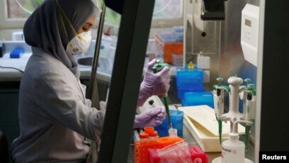 Vaksin Merah Putih Masuk Persiapan Uji Coba Pada Hewan Vaksin Merah Putih Masuk Persiapan Uji Coba Pada Hewan