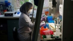 Seorang petugas laboratorium sedang menyiapkan medium untuk menumbuhkan virus di laboratorium Lembaga Biologi Molekuler Eijkman di Jakarta, 31 Agustus 2016. (Foto: Reuters)