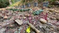 有拜祭者在沙嶺公墓放上代表反送中運動抗爭者的黃絲帶。(美國之音湯惠芸)