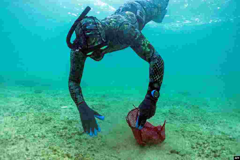 Lebanese free divers take part in the International Coastal Clean-Up Day in the northern port city of Tripoli.