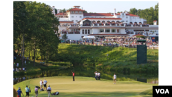 Bill Workinger's award-winning photo of Tiger Woods at the 2012 AT&T National Golf tournament. 