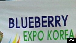 Južna Koreja: Borovnice osvajaju