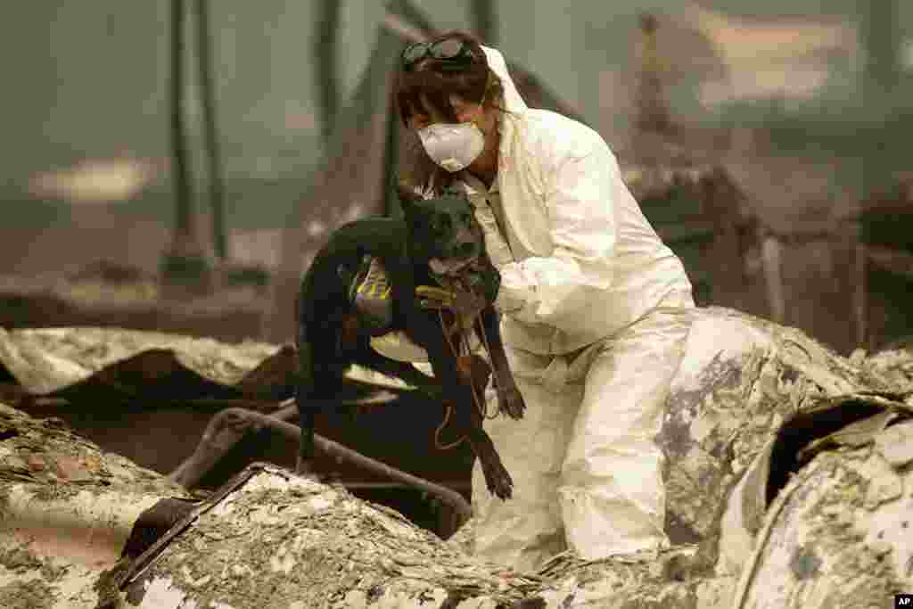 نجات یک سگ توسط مامور امداد و نجات از یک گودال در پی وقوع آتش سوزی جنگلی در کالیفرنیا.