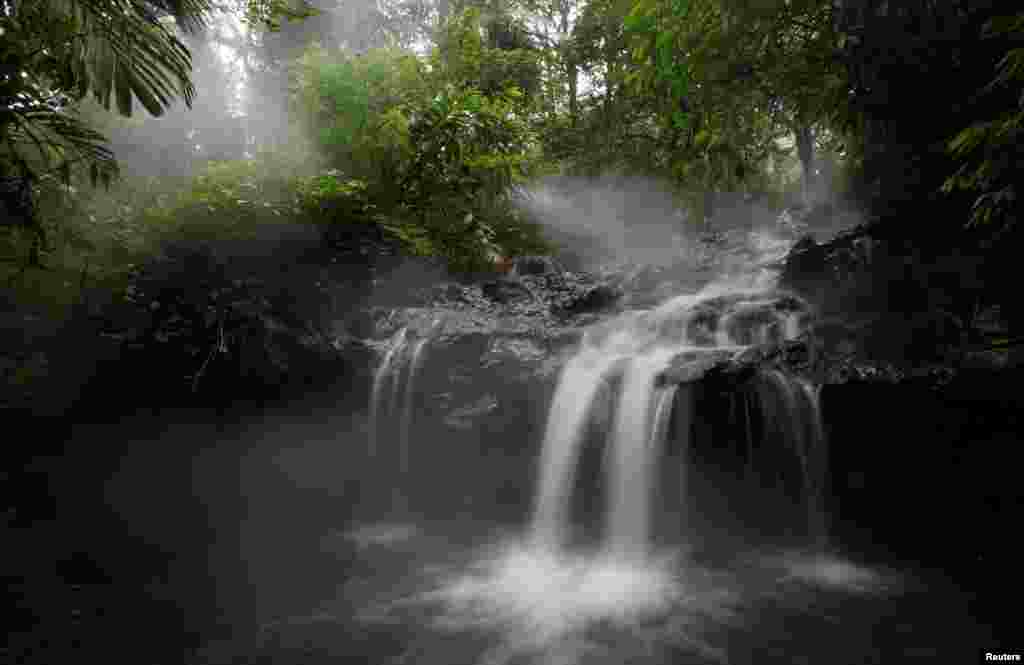 آبشار در جنگل حفاظت شده در کوه ولیرانگ در استان جاوه شرقی&zwnj; در کشور اندونزی.