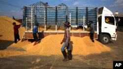 FILE - Thai workers unload rice from the truck of a farmer, at a rice collection center, in the northeastern province of Roi Et, in Thailand. 