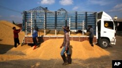 FILE - Thai workers unload rice from the truck of a farmer, at a rice collection center, in the northeastern province of Roi Et , in Thailand. 