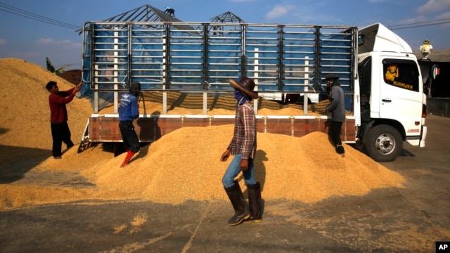 FILE - Thai workers unload rice from the truck of a farmer, at a rice collection center, in the northeastern province of Roi Et, in Thailand.  