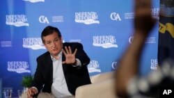 រូបឯកសារ៖ លោក Ted Cruz សមាជិកព្រឹទ្ធសភានៃគណបក្សសាធារណរដ្ឋ តស៊ូមតិជាមួយលោក Gary Marsh អំពីសេវាថែទាំសុខភាព កាលពីថ្ងៃទី៦ ខែកក្កដា ឆ្នាំ២០១៧។ (AP Photo/Eric Gay)