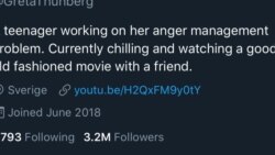Greta Thunberg respondió al tuit del presidente Donald Trump con sarcasmo, adaptando sus palabras a la descripción de su perfil de Twitter.