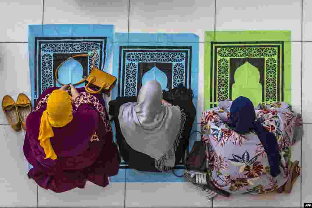 ادای نماز عید در مصر