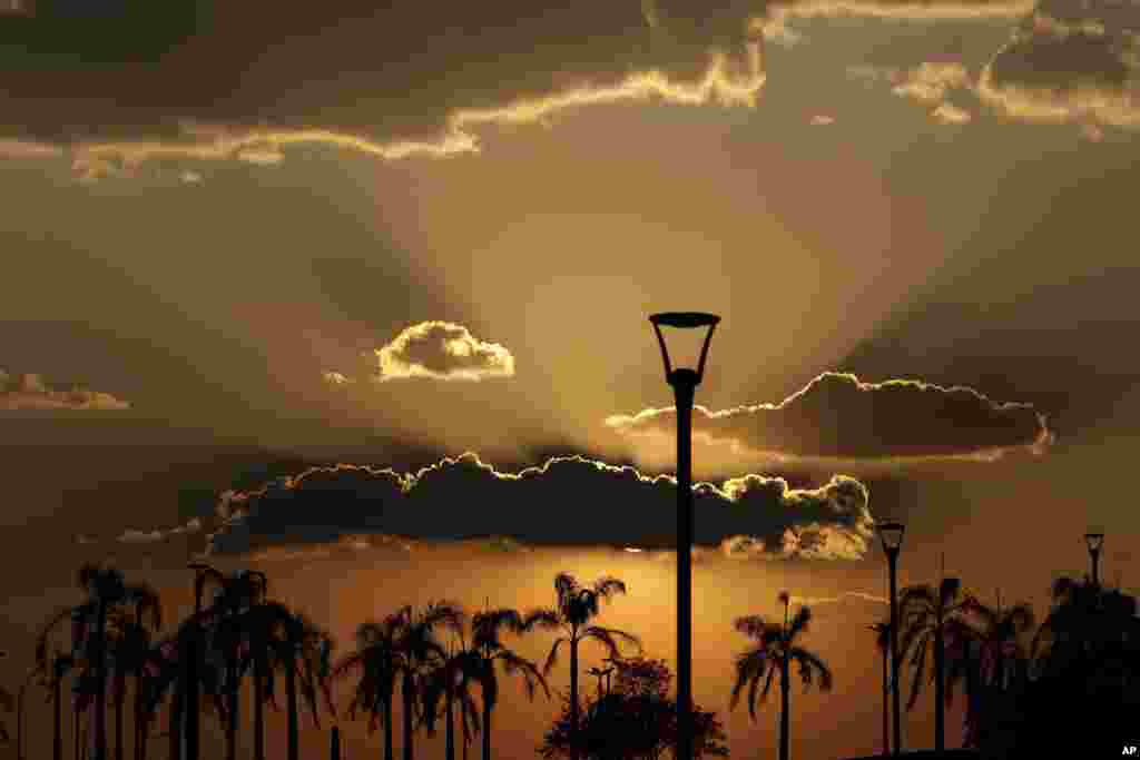 Palm trees in City Park are silhouetted at dusk in Brasilia, Brazil, Oct. 6, 2020.