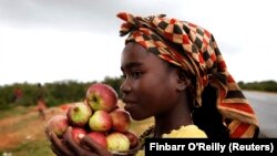 Uma menina vende maçãs nas ruas do Lubango (Foto de Arquivo)