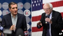 ted cruz vs sanders