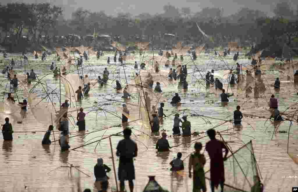 인도 북동부 아삼 주의 판바리 마을에서 수확철의 종료를 알리는 '보갈리 비후' 축제의 일환으로 주민들이 호수에서 물고기를 잡고 있다.