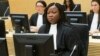 Rights Groups Hail ICC Probe Into CAR War Crimes
