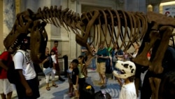 [구석구석 미국 이야기 오디오] 스미스소니언 박물관에서 만나는 공룡...대학생 ‘스탠드업 코미디’ 클럽