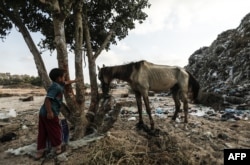 FILE - A Palestinian child looks at a horse in an impoverished neighbourhood of the Khan Younis refugee camp in southern Gaza Strip, Aug. 25, 2018.