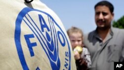 El Parlatino ha fortalecido las alianzas con la FAO y los Frente Parlamentarios contra el Hambre (FPH), además de promover desde su seno el cumplimiento de los Objetivos de Desarrollo Sostenible (ODS).