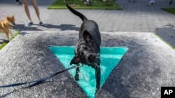 Jax Reilly, a black labrador, cools off in Eleanna Anagnos' "Penumbra Oasis" at dOGUMENTA (I) NYC, Aug. 11, 2017, in New York. The art show, featuring 10 sculptures and installations created for dogs, runs through Aug. 13 at Brookfield Place in Lower Manhattan.