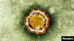 Koronavirusning elektron mikroskopdagi ko'rinishi