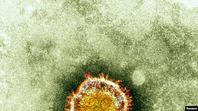 Coronavirus