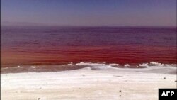 Urmiyə gölü qırmızı rəngə bürünüb