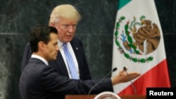 លោក Donald Trump​ និង​លោក​ប្រធានាធិបតី Enrique Pena Nieto ស្ថិត​នៅ​ក្នុង​សន្និសីទ​កាសែត​មួយ​នៅ​ក្នុង​វិមាន Los Pinos ក្នុង​រដ្ឋធានី​ម៉ិកស៊ីកូ ប្រទេស​ម៉ិកស៊ិក កាលពី​ថ្ងៃទី៣១ ខែសីហា ឆ្នាំ២០១៦។