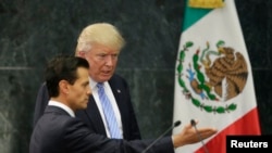 Tỷ phú Donald Trump và Tổng thống Mexico Enrique Pena Nieto đến dự một buổi họp báo ở Mexico City, Mexico, 31/8/2016.