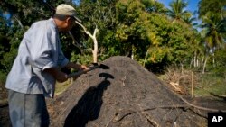 Un hombre prepara carbón artesanal vegetal en las afueras de La Habana, Cuba, el jueves, 5 de enero, de 2017