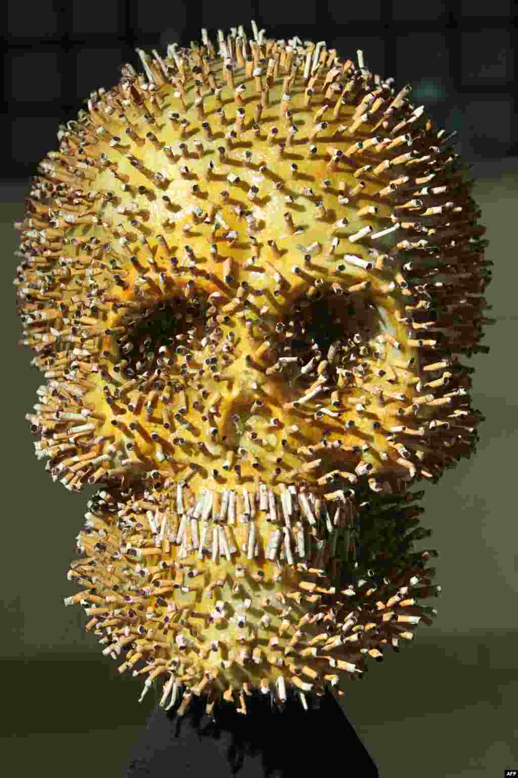 A human skull made of cigarette butts by Albanian artists Lumturi Blloshmi is displayed as a warning at the entrance of a health clinic in Tirana, Albania.