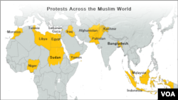 Countries where protests have taken place.