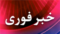 خبر فوری