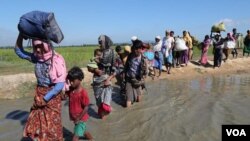 Rohingya