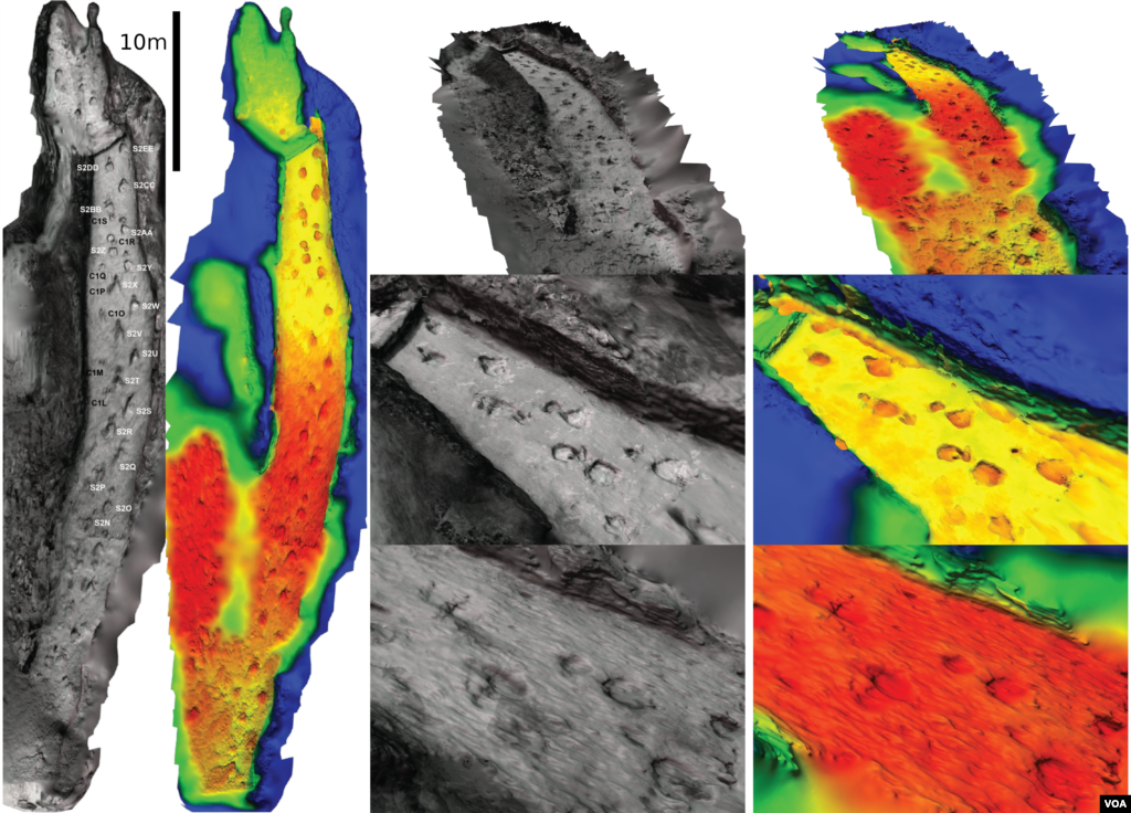 Scientists scanned historic photos to develop the new 3-D mode. Credit: PLOS ONE Falkingham et.al