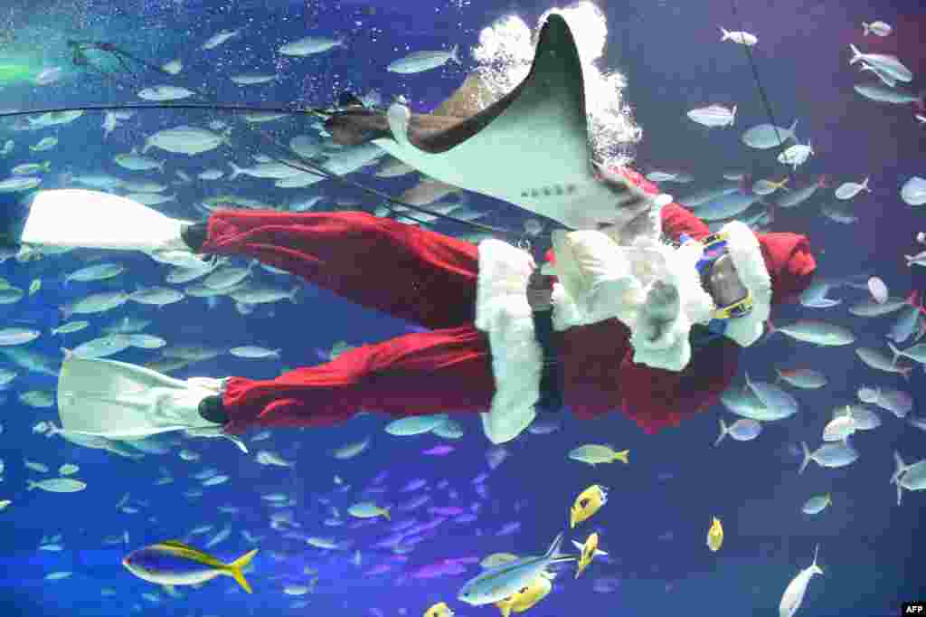 A diver dressed as Santa Claus swims with fish at the Sunshine Aquarium in Tokyo, Japan.