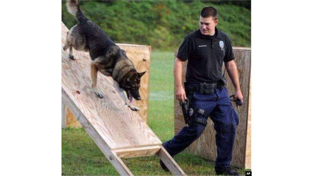 Anjing Polisi Pengendus Stres Di Kepolisian Fairfax