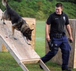 Seekor anjing polisi dan pelatihnya di Hattiesburg, Mississippi, 10 Mei 2015 (Foto: AP)