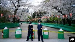ဂျပန်နိုင်ငံ၊ တိုကျိုမြို့က ချယ်ရီပန်းတွေပွင့်နေတဲ့ လမ်းတလမ်းကိုပိတ်ပြီး တာဝန်ယူထားတဲ့ လုံခြုံရေးဝန်ထမ်းများ။(မတ် ၂၇၊ ၂၀၂၀)
