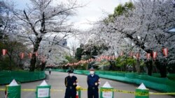 Los lugares turísticos están cerrados en Japón para evitar aglomeraciones de personas y sean estos focos de contagio de Covid-19.