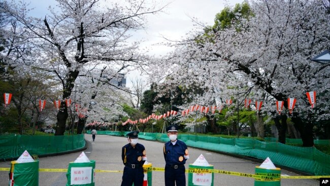 Los lugares turísticos están cerrados en Japón para evitar aglomeraciones de personas y sean estos focos de contagio de Covid-19.