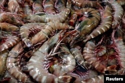 Shrimps are seen displayed for sale at the Filipino Market in Kota Kinabalu, Sabah, Malaysia, July 4, 2018.