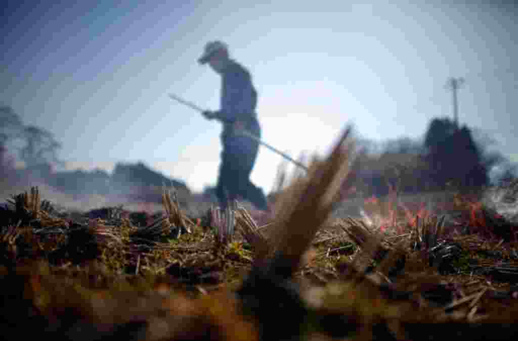 April 5: A man burns a rice field in preparation for planting near Fukushima, northern Japan. The operator of Japan's nuclear power plant that has been crippled after an earthquake and tsunami, started paying "condolence money" on Tuesday to victims of th