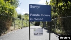 La "casa" del panda de una semana de nacido que murió en el zoológico de Washington permanece aislada y cerrada.