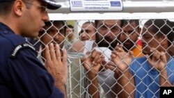 Fence1 EU Immigrants