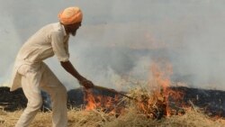 نئی دہلی حکومت کا کہنا ہے کہ ہریانہ اور پنجاب میں فصلوں کی باقیات جلانے کے باعث آلودگی بڑھ رہی ہے۔